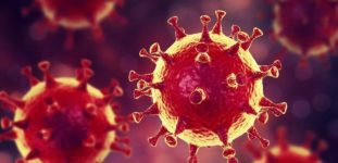 Dünya Koronavirüs Aşısını Bekliyor