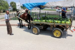 Seyyar Satıcılık Yapmak İçin Ne Yapılması Gerekmektedir?